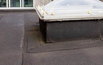 disadvantages of Croftmalloch flat roofs